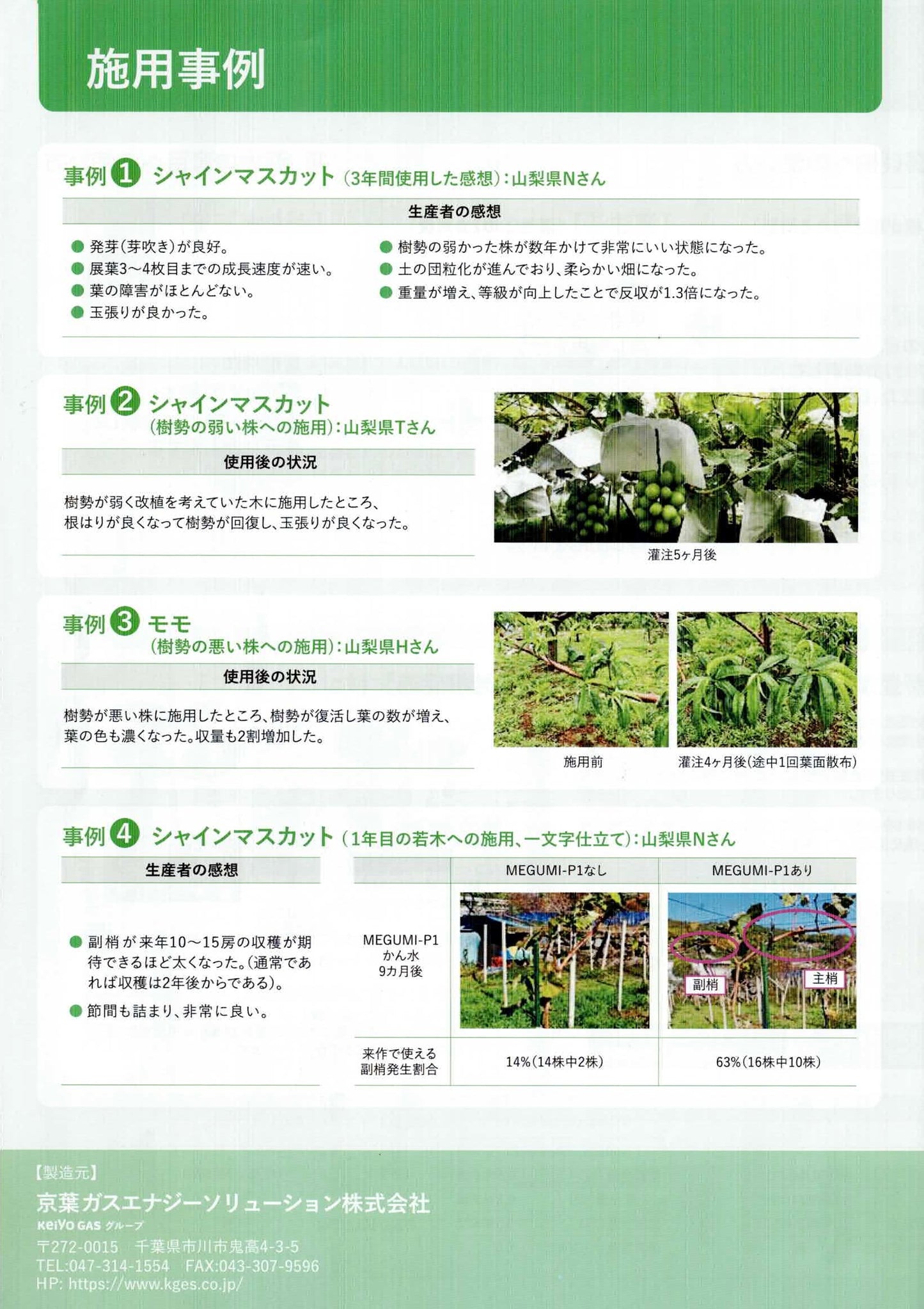 【特殊肥料】MEGUMI-P1