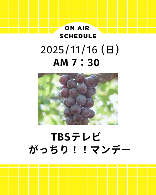 テレビ出演のお知らせ
