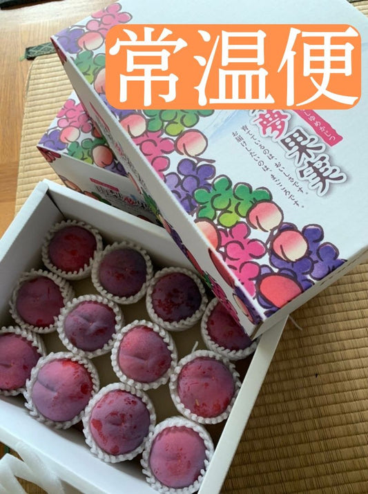 【スモモ】菅野中生【常温便】【6月下旬〜順次発送】