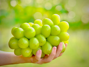 シャインマスカットページ Amazon.co.jp: 山梨県限定 ヤマフジ PREMIUM SHINE MUSCAT